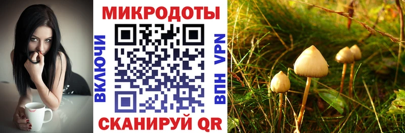 Галлюциногенные грибы Cubensis  где продают наркотики  hydra сайт  Евпатория 